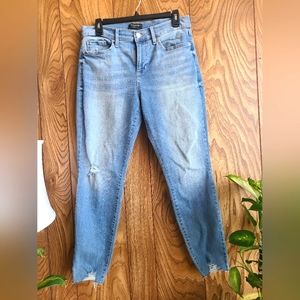 Banana Republic Distressed Skinny Jean